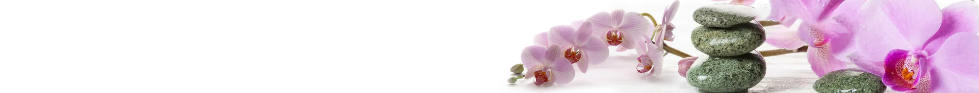 Orchids