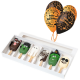 Halloween Cakesicles & Balloons