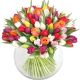 Rainbow of Tulips