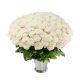 100 White Roses