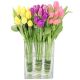 Tulip Trio Arrangement